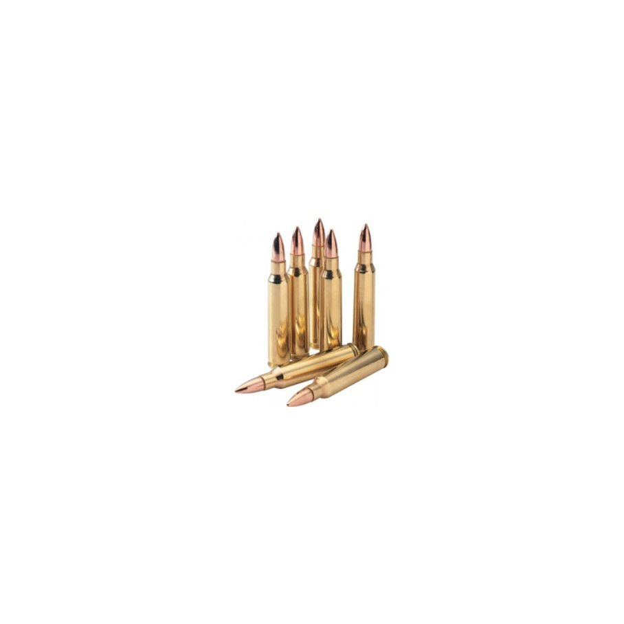 FMJ Övning .308 WIN / 147 GR / 9.5 G / 20 ST