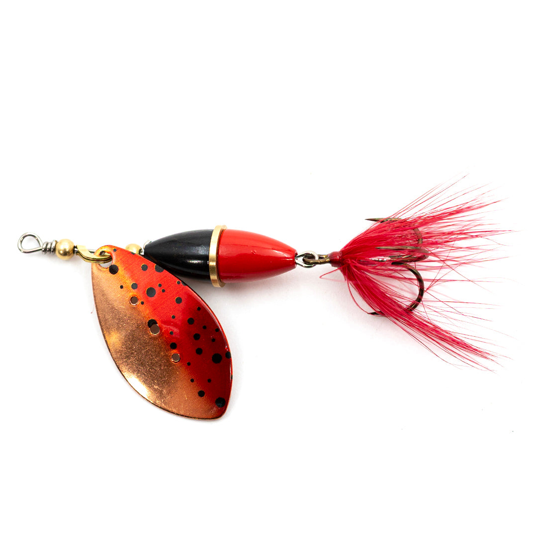 Wipp GHOST / 10 G