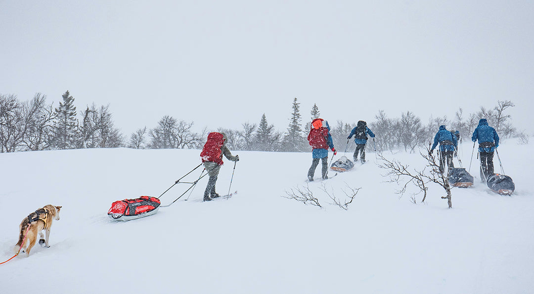 Nansen BC WL/FL Turskidor Vallningsfria 175