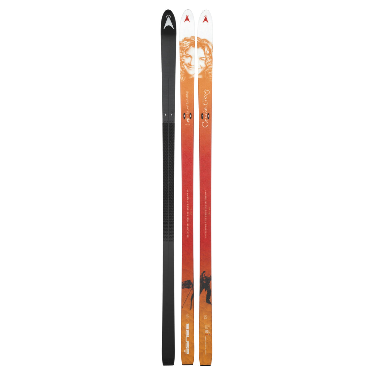Cecile BC WL/FL Turskidor Vallningsfria 170