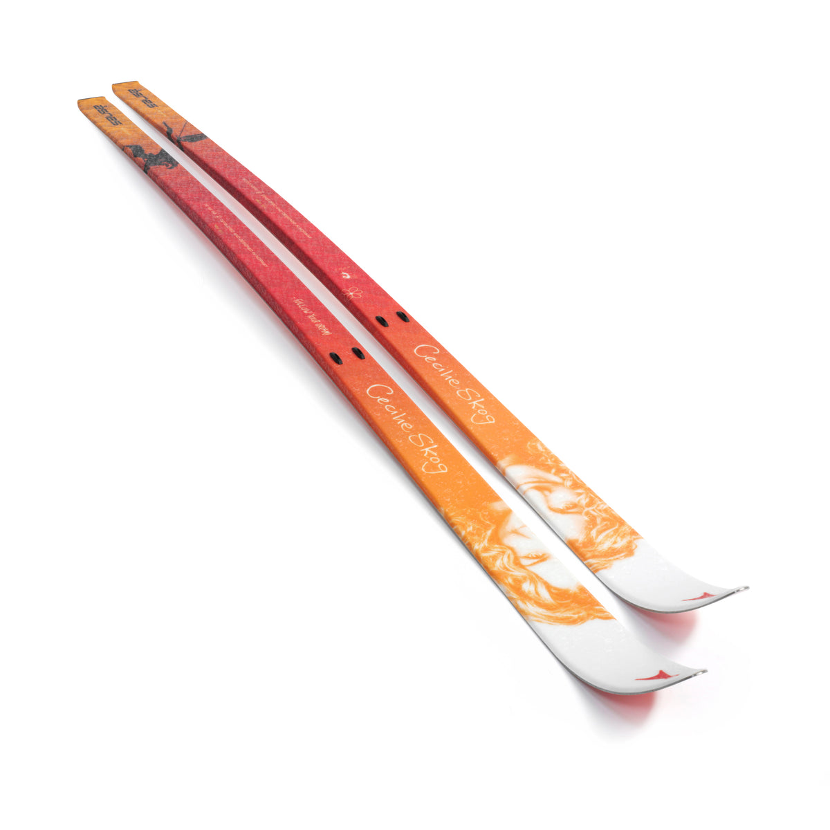 Cecile BC WL/FL Turskidor Vallningsfria 170
