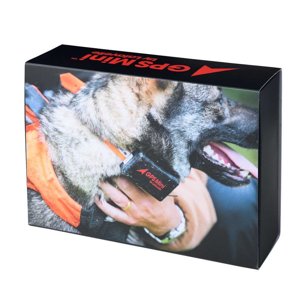 GPS Mini 4G Hundpejl SVART / EN STL