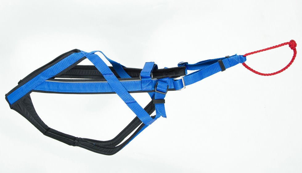 Adjustable Dragsele BLÅ / S
