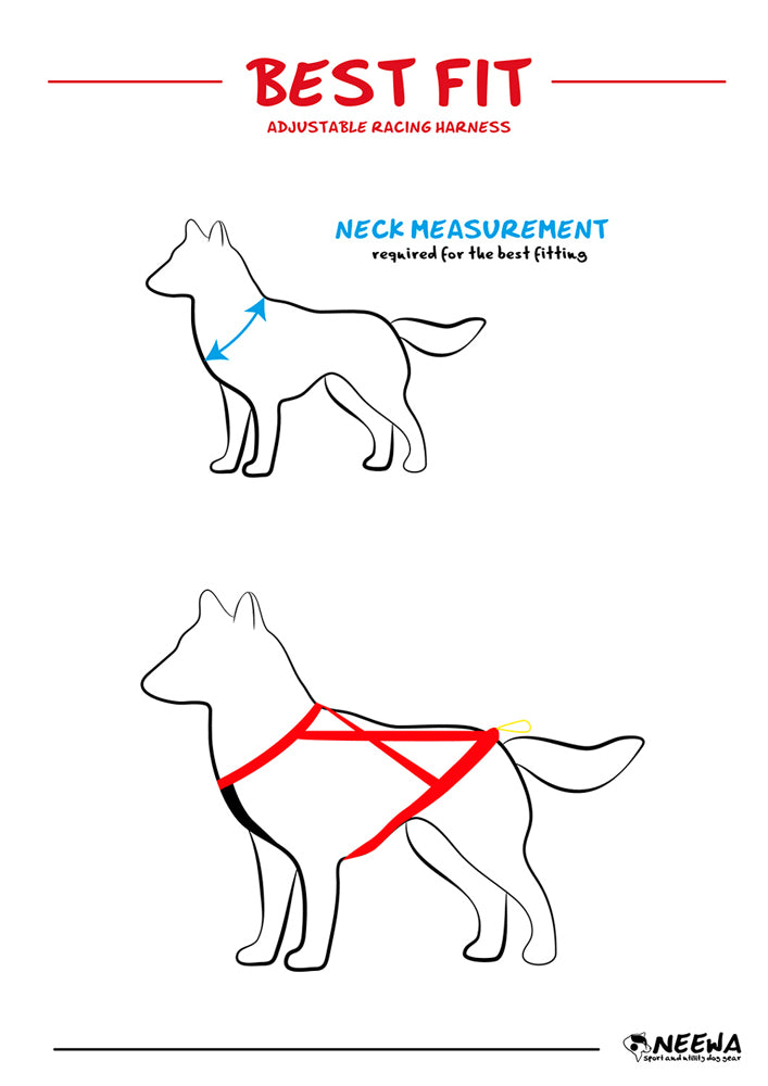 Adjustable Dragsele BLÅ / S
