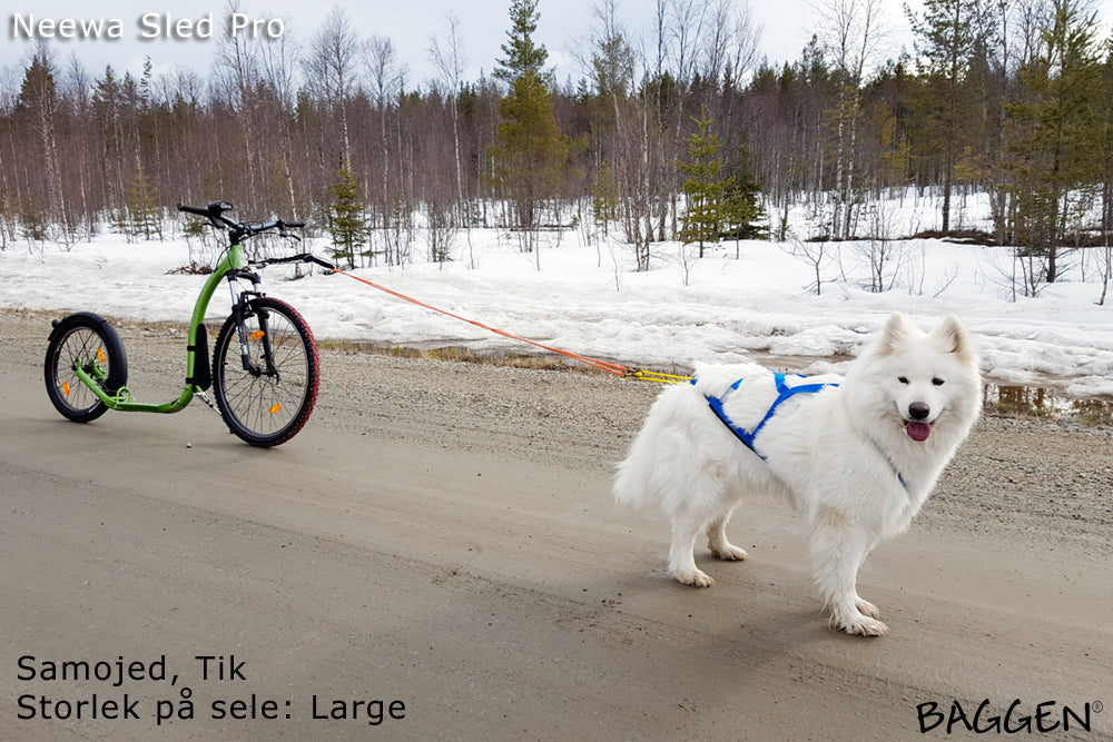 Sled Pro Dragsele BLÅ / S
