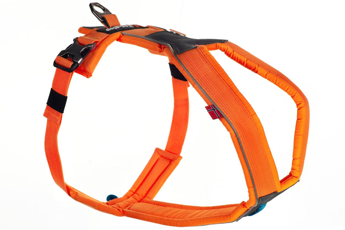 Line Cykel & Spårsele ORANGE / #1