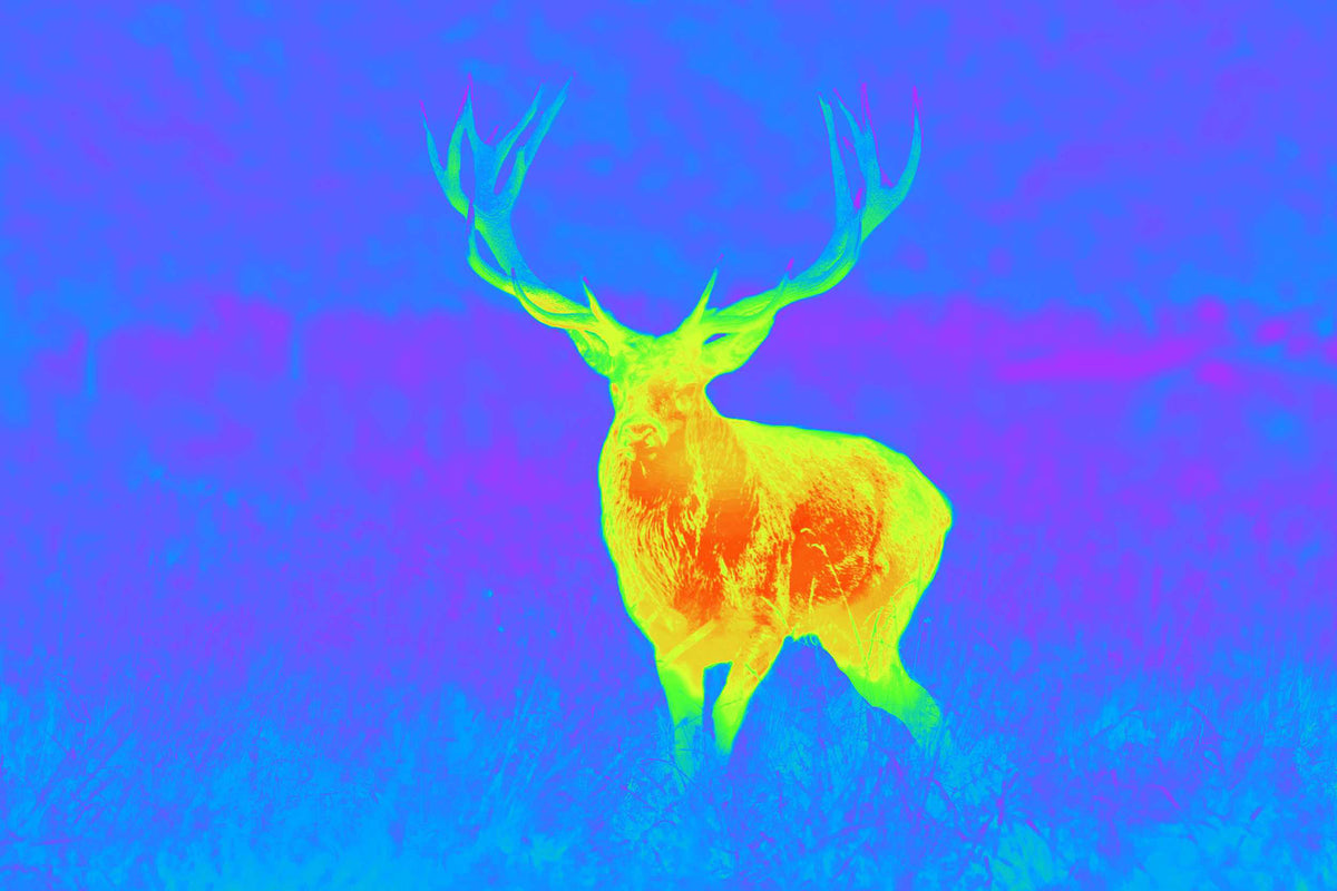 Spectra TI35 Thermial ONE SIZE