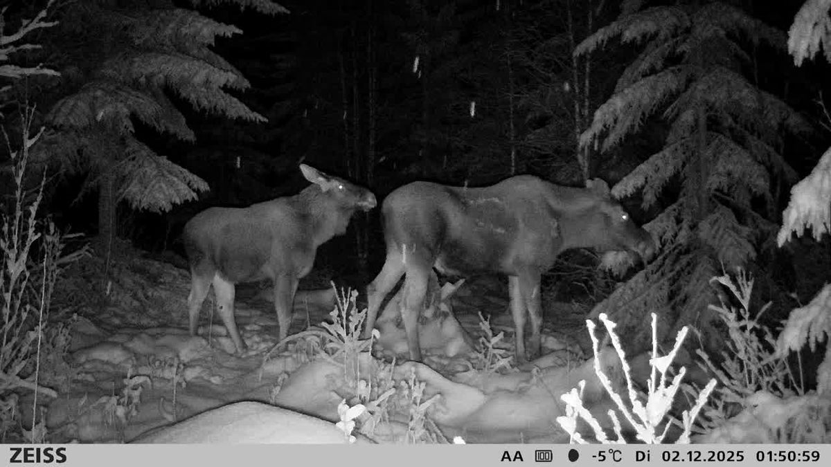 Secacam 3
