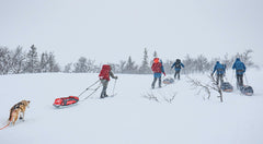 Nansen BC WL/FL Turskidor Vallningsfria 175
