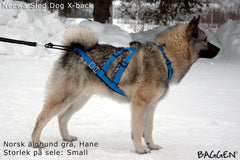 Sled Dog X-Back BLÅ / S