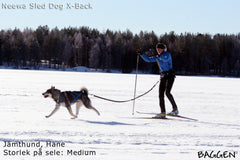 Sled Dog X-Back BLÅ / S