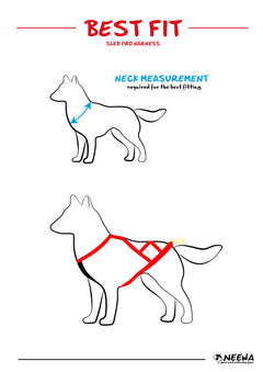 Sled Pro Dragsele BLÅ / S