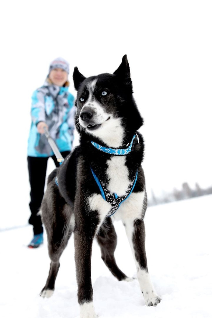 Run Long Sele ALPINBLÅ / XS