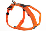Line Cykel & Spårsele ORANGE / #1