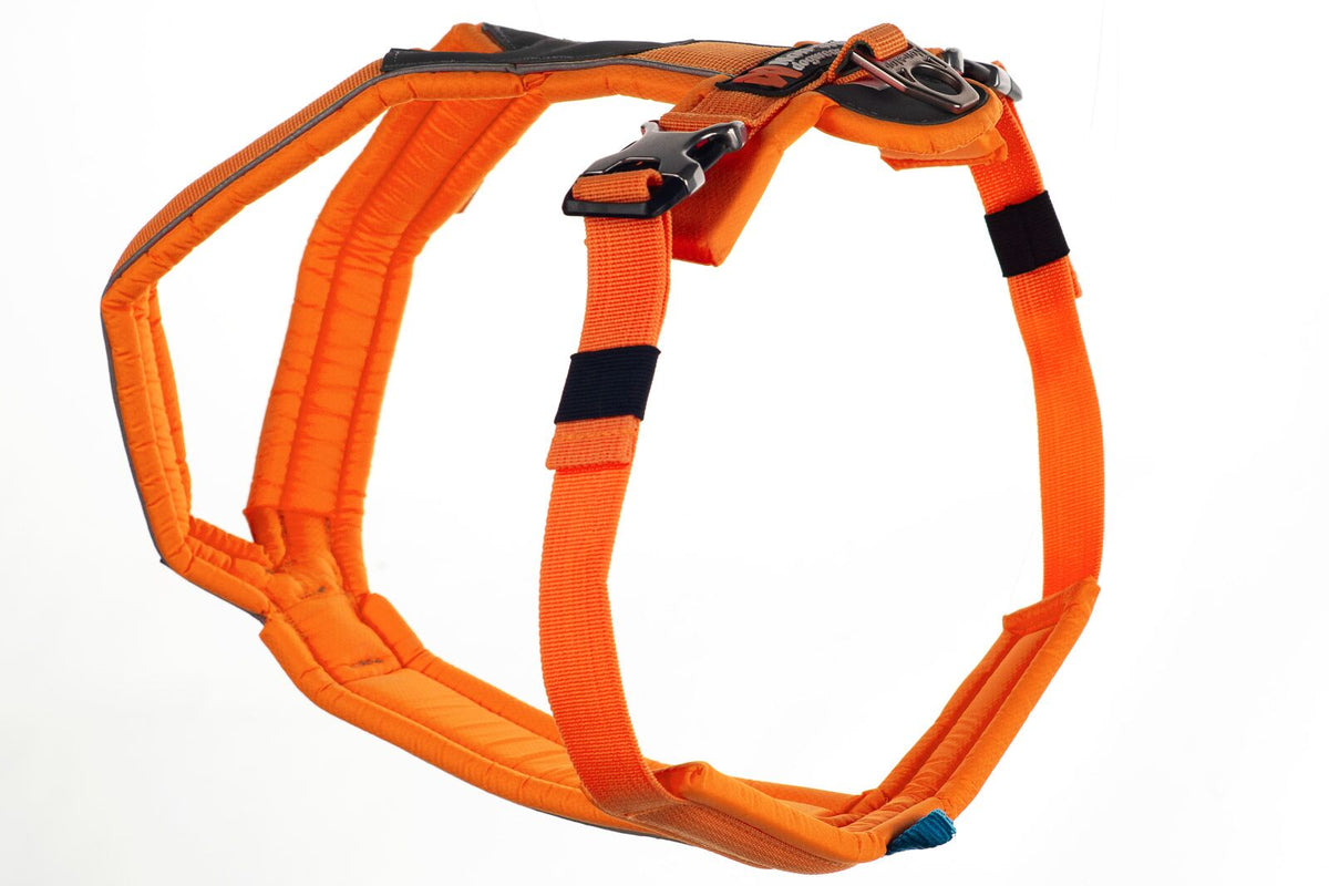 Line Cykel & Spårsele ORANGE / #1
