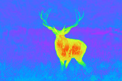 Spectra TI35 Thermial ONE SIZE