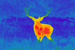 Spectra TI35 Thermial ONE SIZE