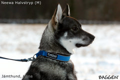 Halsband Halvstryp SVART / MEDIUM