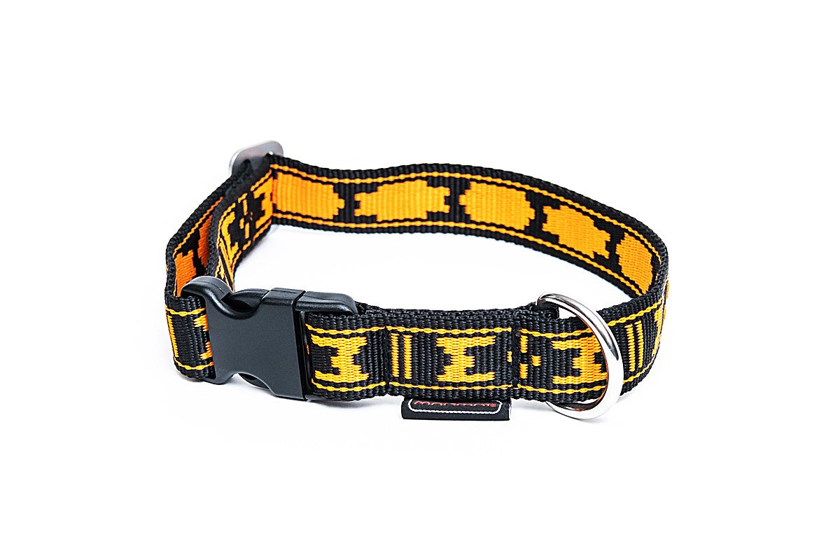 Standard Halsband APELSIN / ONE SIZE