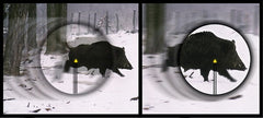 Trijicon Accupoint 5-20x50 BAC-TRIANGEL - RÖD