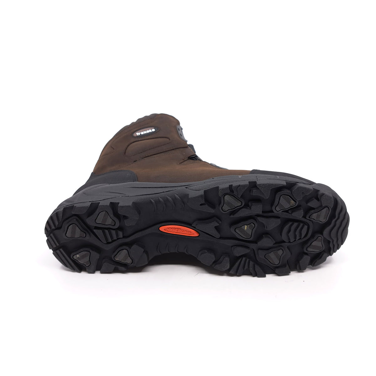 Tundra Boa 10