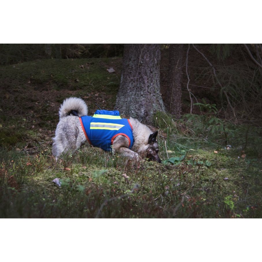 GPS Hundväst BLÅ / STL 1