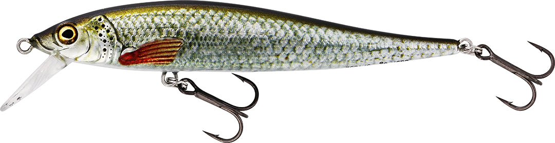 Jerkbite 9cm REAL ROACH / MEDIUM RUNNER