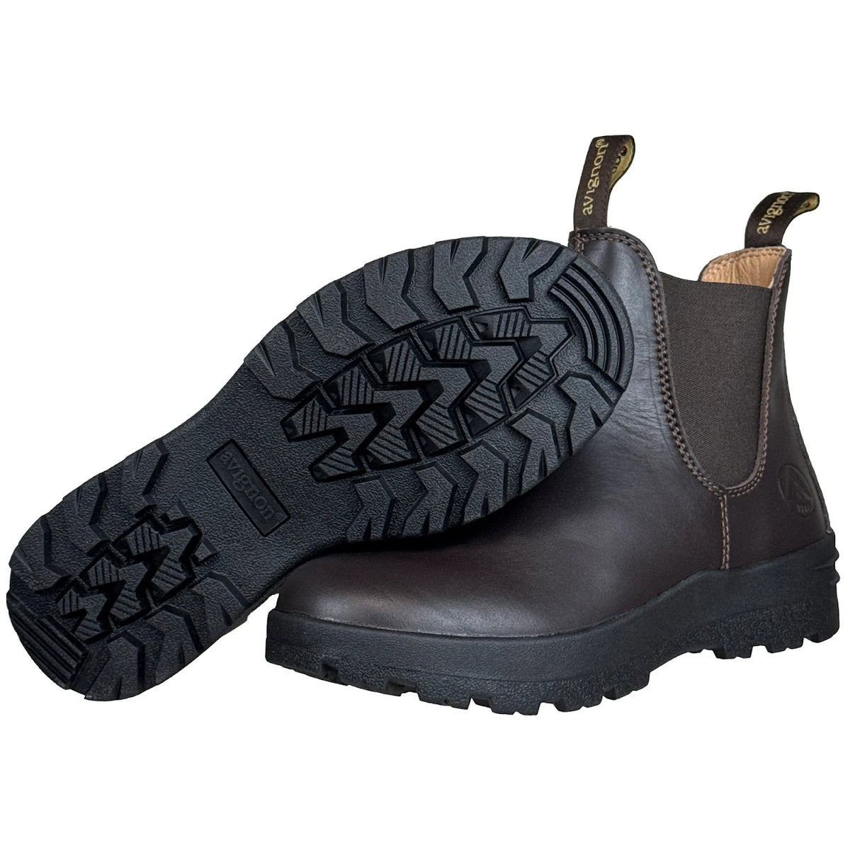 Darwin Jodhpurs läder